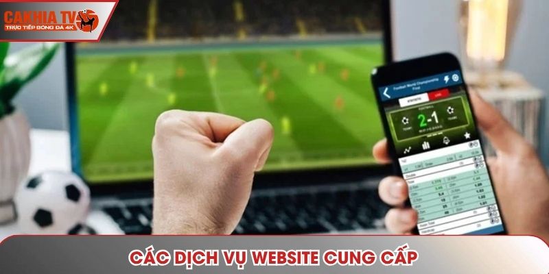 Các dịch vụ website cung cấp