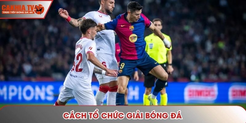 Cách Tổ Chức Giải Bóng Đá Chuyên Nghiệp Cùng Với Cakhiatv