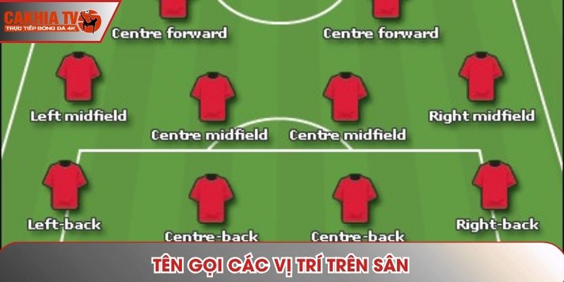 Tên Gọi Các Vị Trí Trên Sân Là Gì? Cùng Cakhia Tìm Hiểu!